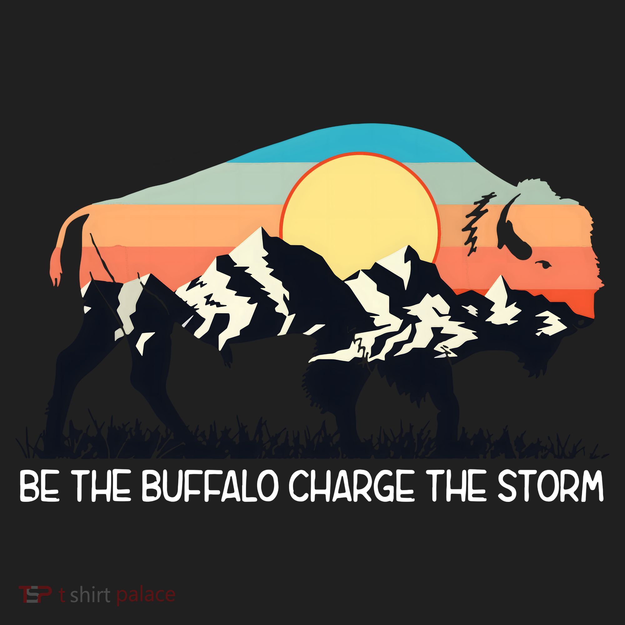 Be The Buffalo Charge The Storm Beanie