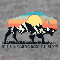 Be The Buffalo Charge The Storm Women's Hoodie thumb 2