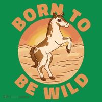 Born To Be Wild Horse Sunset Mousepad thumb 1