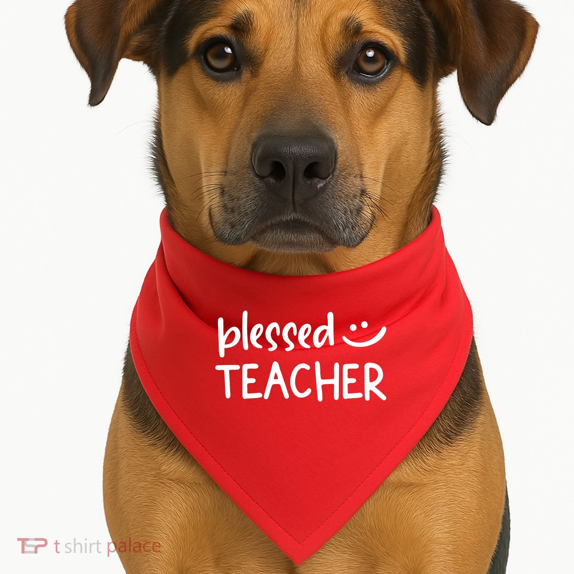 Blessed Teacher USA-Made Doggie Bandana