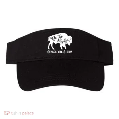 Visor