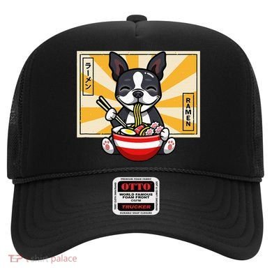 Boston Terrier Hat