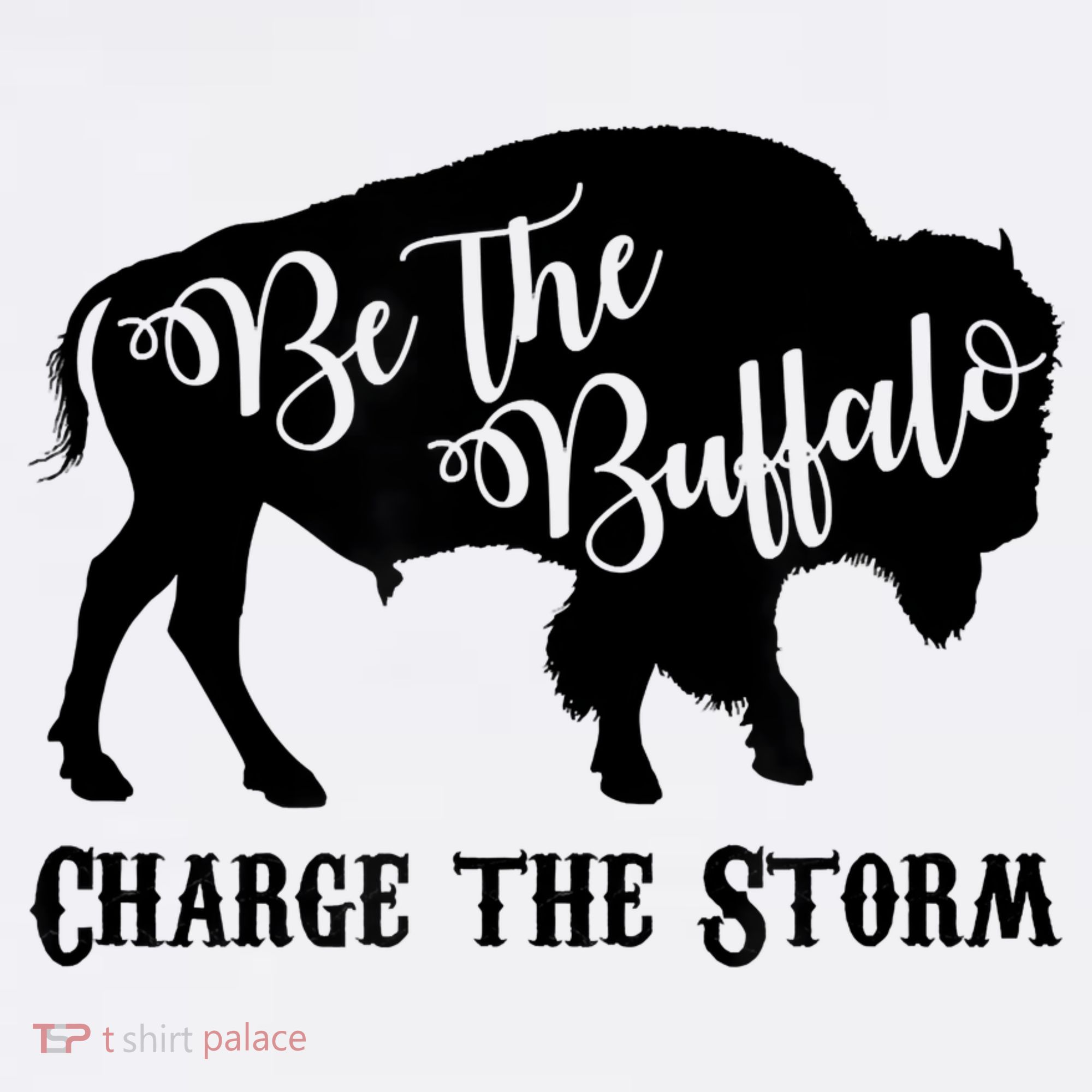 Be The Buffalo Charge The Storm Success Women's Hoodie