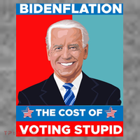 Bidenflation The Cost Of Voting Stupid Funny Joe Biden T-Shirt thumb 7