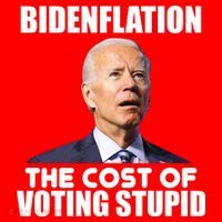 Bidenflation The Cost Of Voting Stupid Funny T-Shirt thumb 7