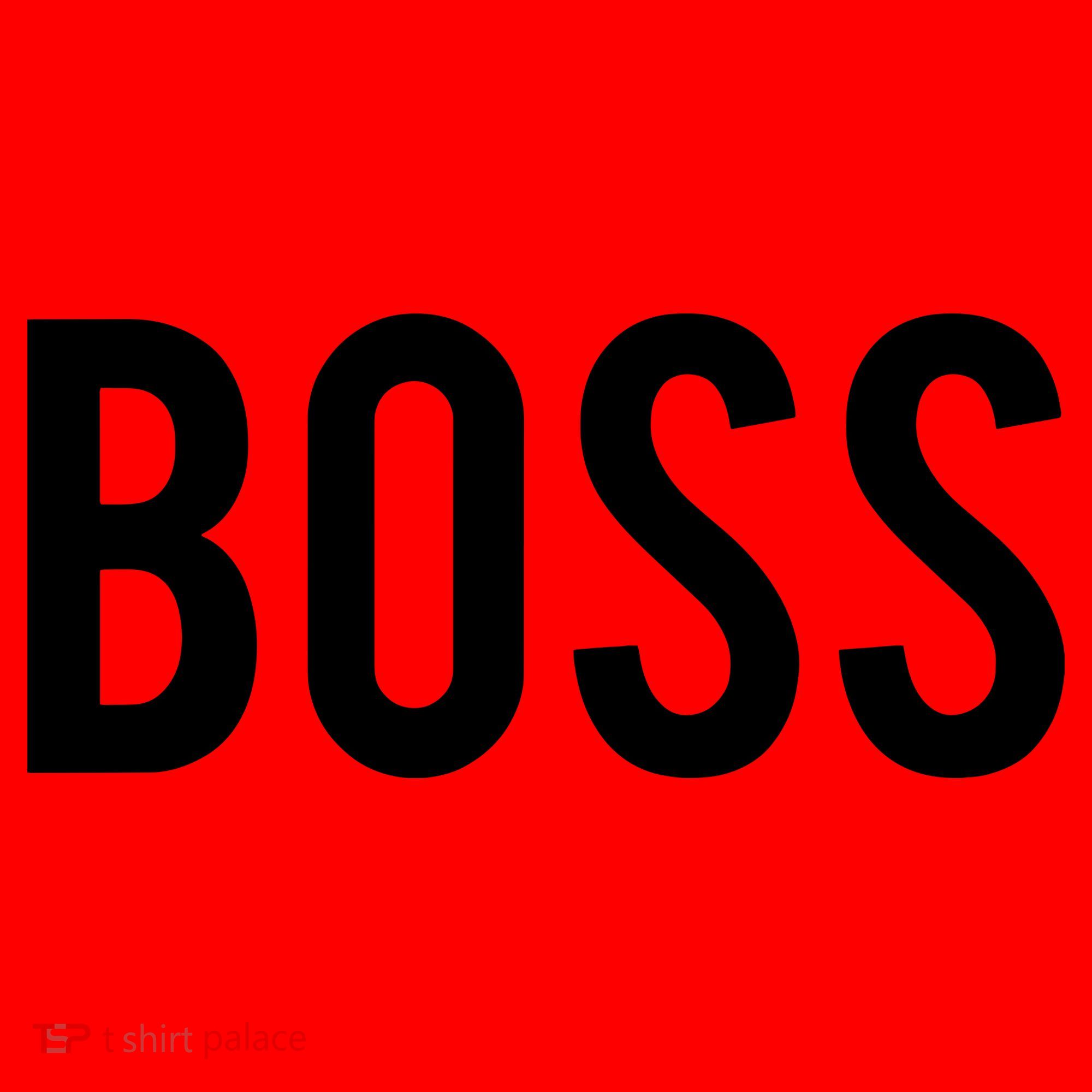 Boss T Cool New CEO Business Owner Money Gift Tee Santa Hat