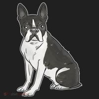 Boston Terrier Dog Women's Sweatshirt thumb 2