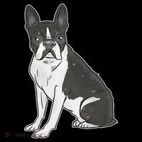 Boston Terrier Dog Bucket Hat thumb 4