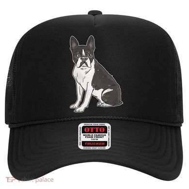 Boston Terrier Dog Hat