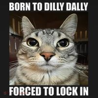 Born To Dilly Dallly Forced To Lock In Cat Lover T-Shirt thumb 7