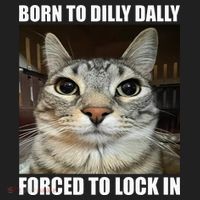 Born To Dilly Dallly Forced To Lock In Cat Lover Beanie thumb 2
