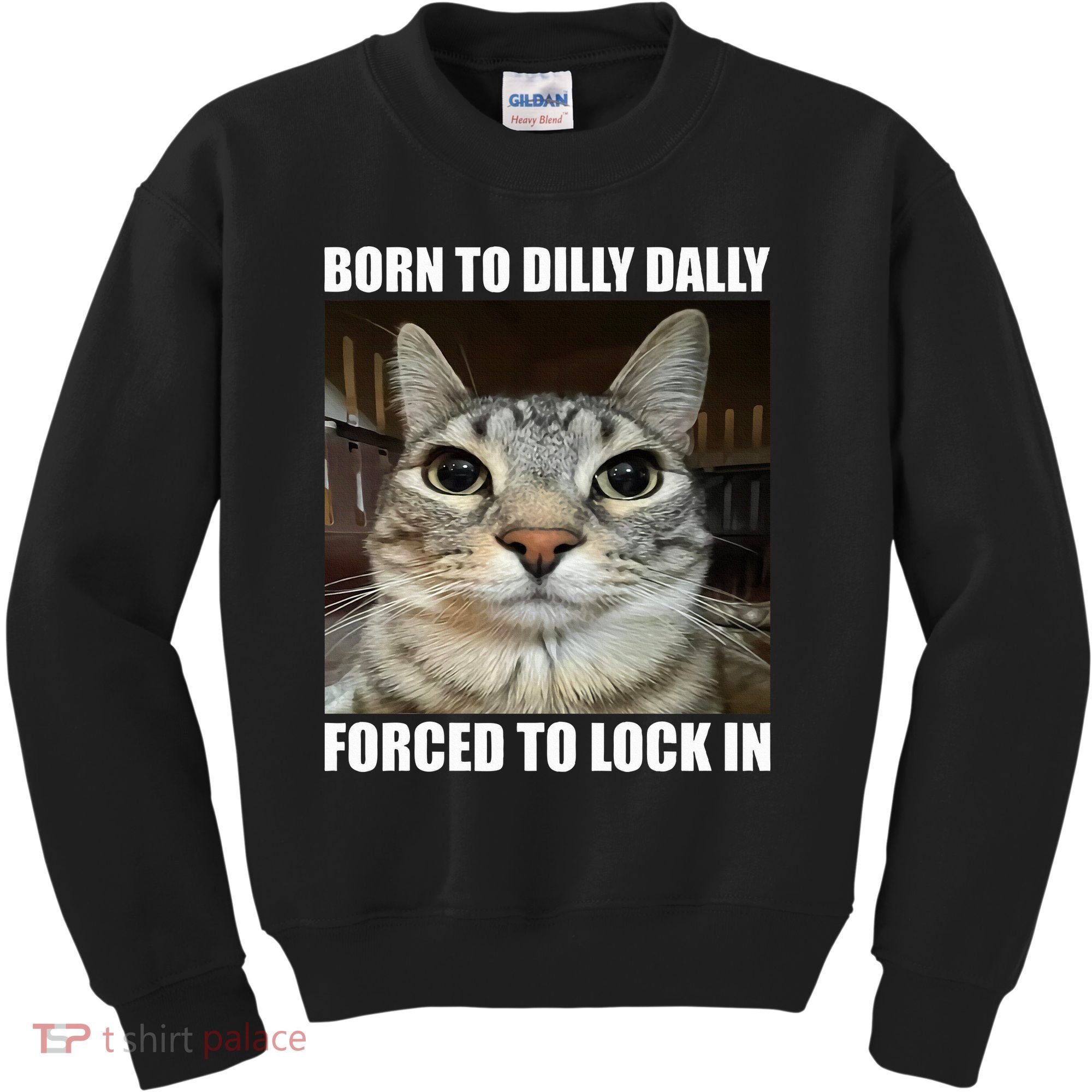 Born To Dilly Dallly Forced To Lock In Cat Lover Kids Sweatshirt
