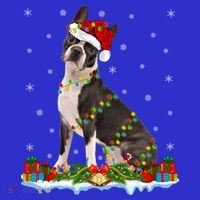 Boston Terrier Dog Xmas Lighting Boston Terrier Christmas Cute Gift Kids Sweatshirt thumb 2