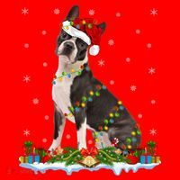 Boston Terrier Dog Xmas Lighting Boston Terrier Christmas Cute Gift Santa Hat thumb 1