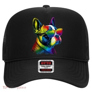 Boston Terrier Dog Mom & Dad Dog Lover Hat