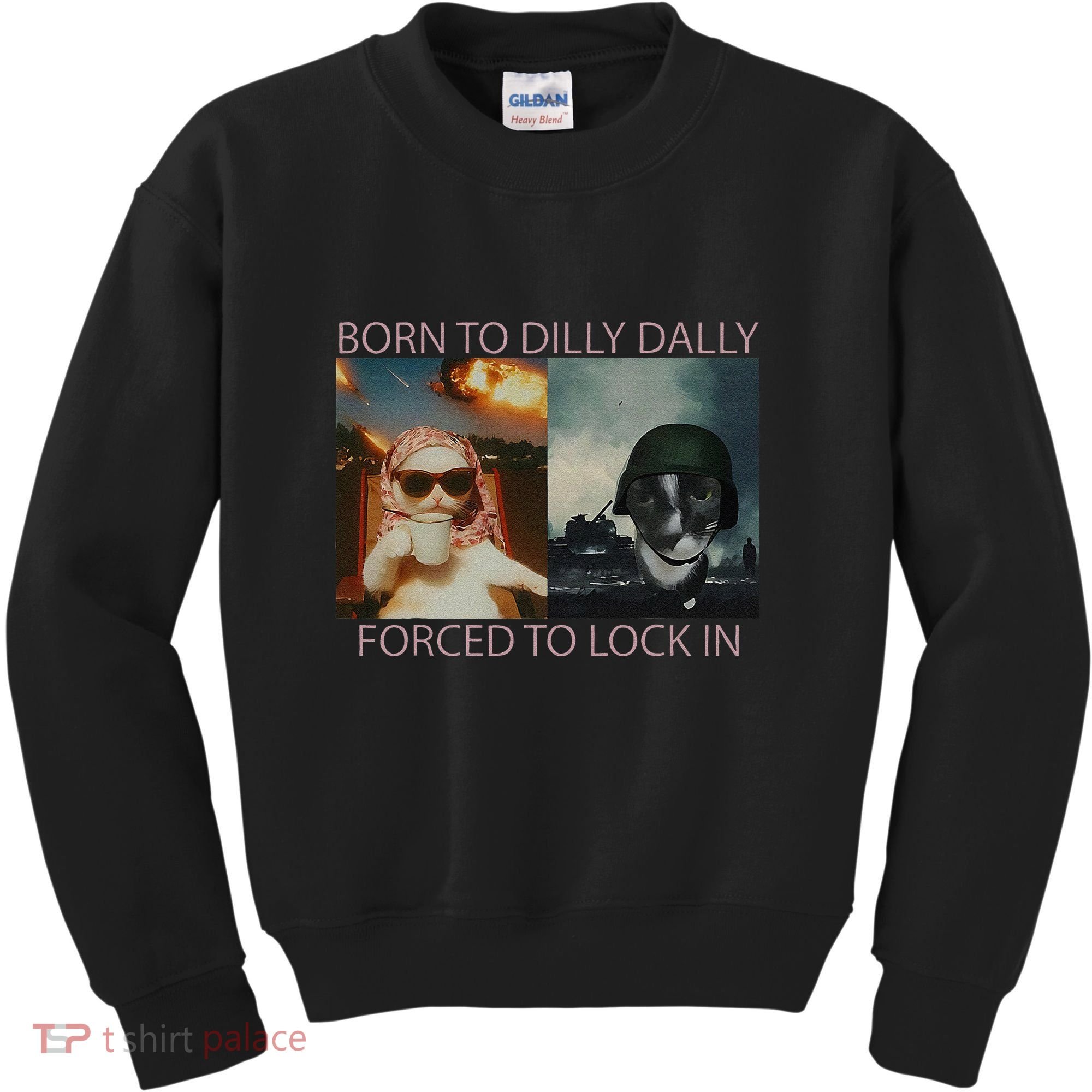 Born To Dilly Dally Forced To Lock In Cat Meme Kids Sweatshirt