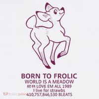 Born To Frolic World Is A Meadow Women's T-Shirt thumb 6