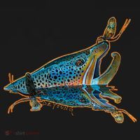 Brown Trout Fishing Emigrant Riser Fly Fishing T-Shirt thumb 7