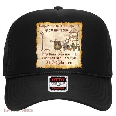 Behold The Field Medieval Dank Meme Hat