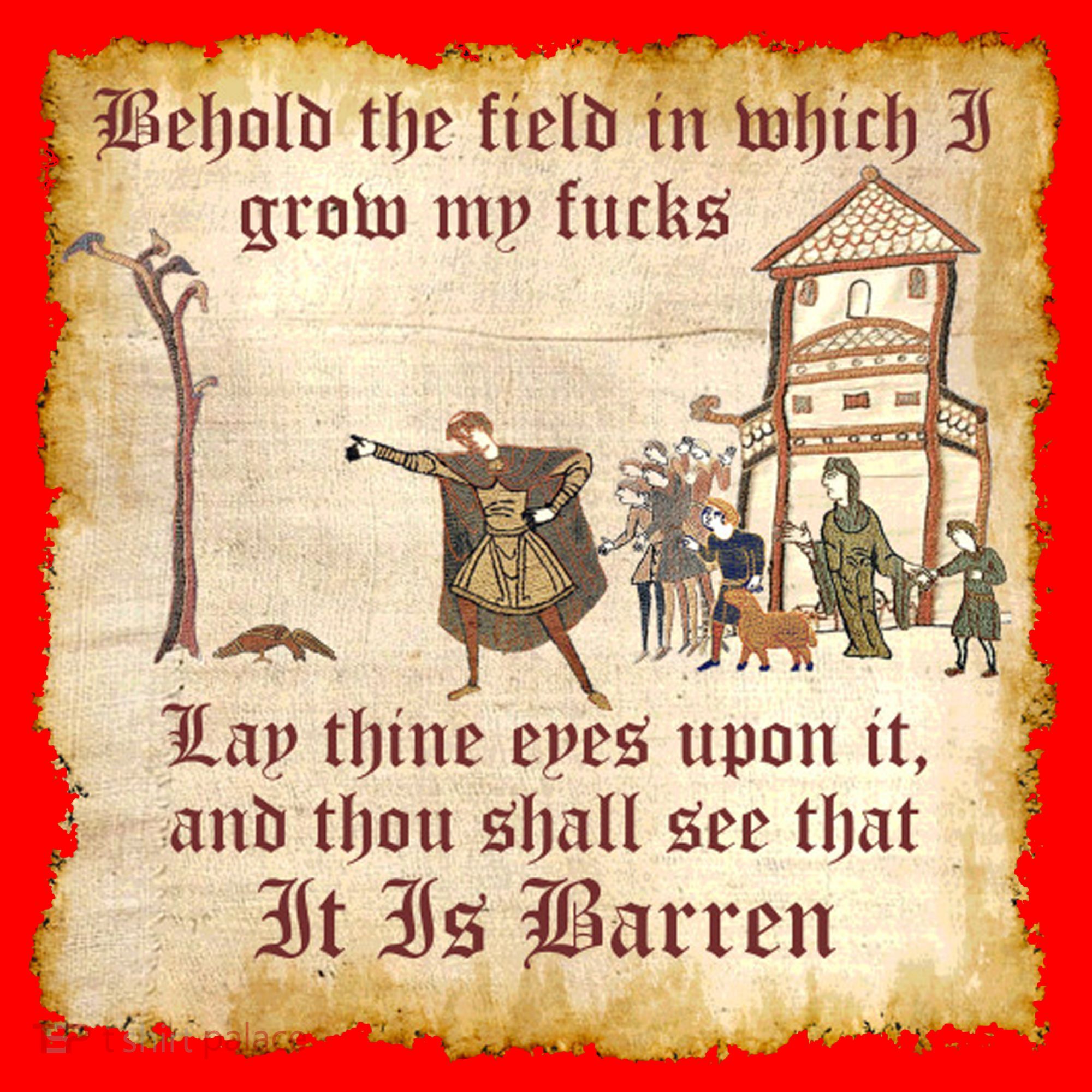 Behold The Field Medieval Dank Meme Santa Hat