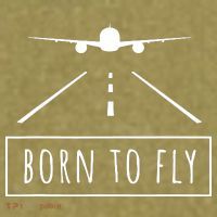Born To Fly Aviation Pilot Flying Airplane Aircraft Gift Garment-Dyed Women's Muscle Tee thumb 6