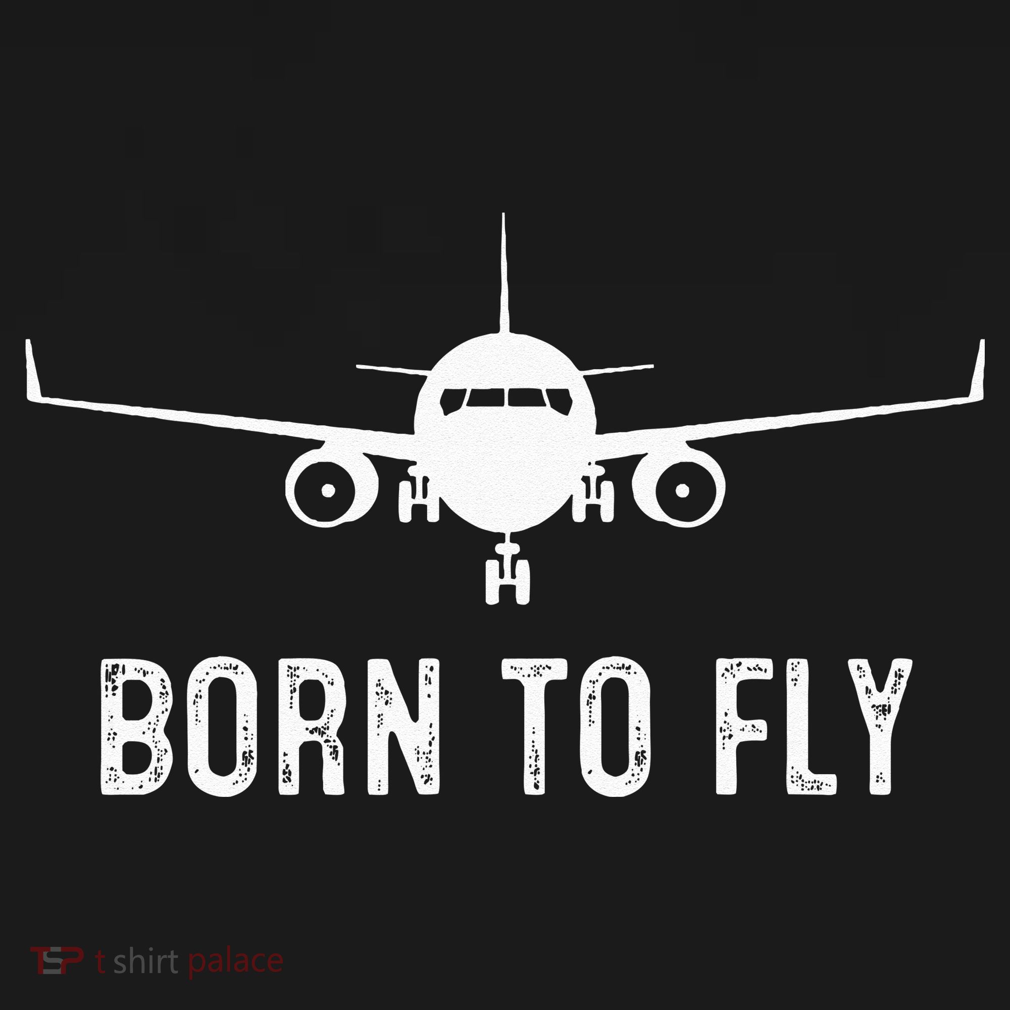 Born To Fly Funny Airplane Pilot Gift Men Aviation Airline Women's Hoodie