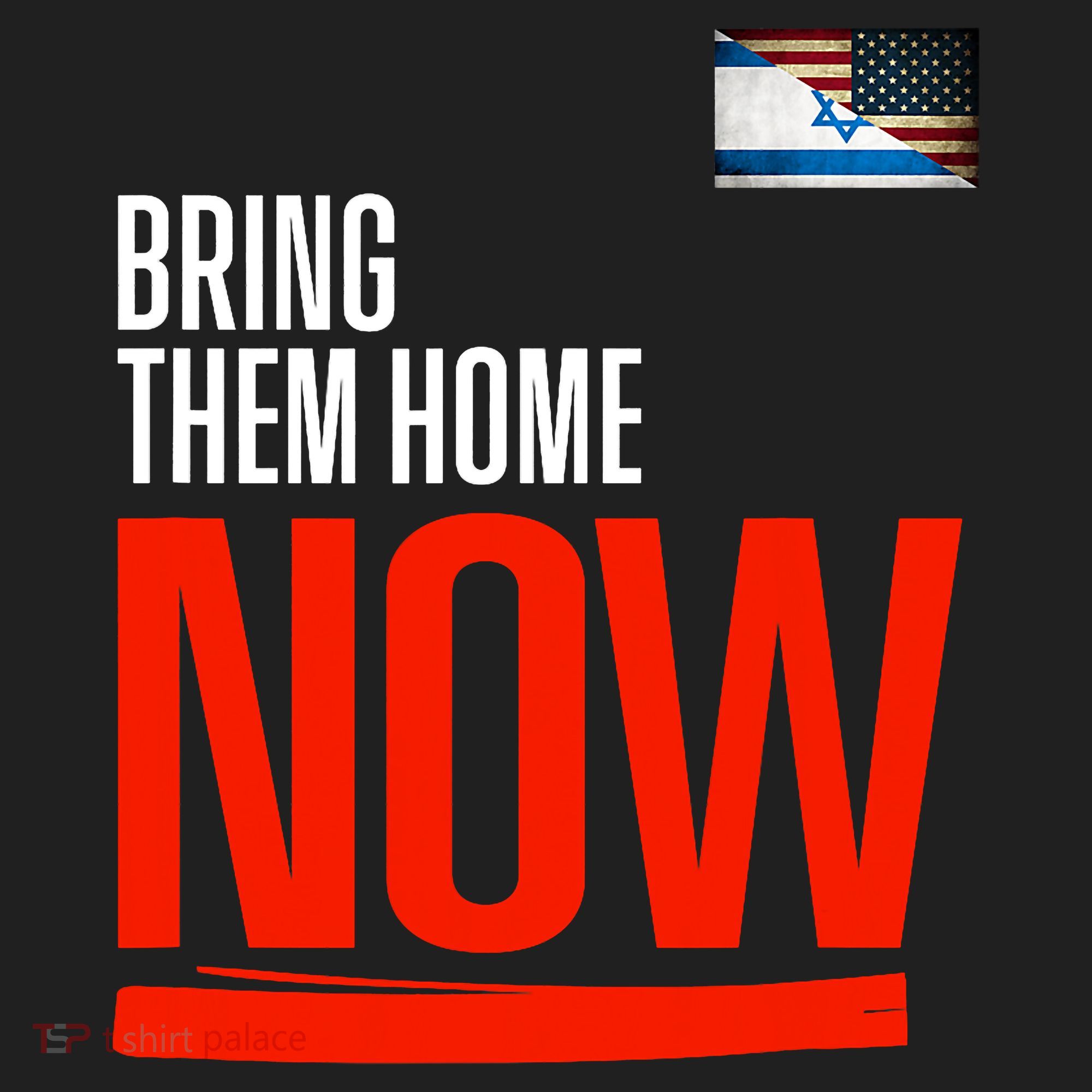 Bring Them Home Now! Stand With Israel Beanie