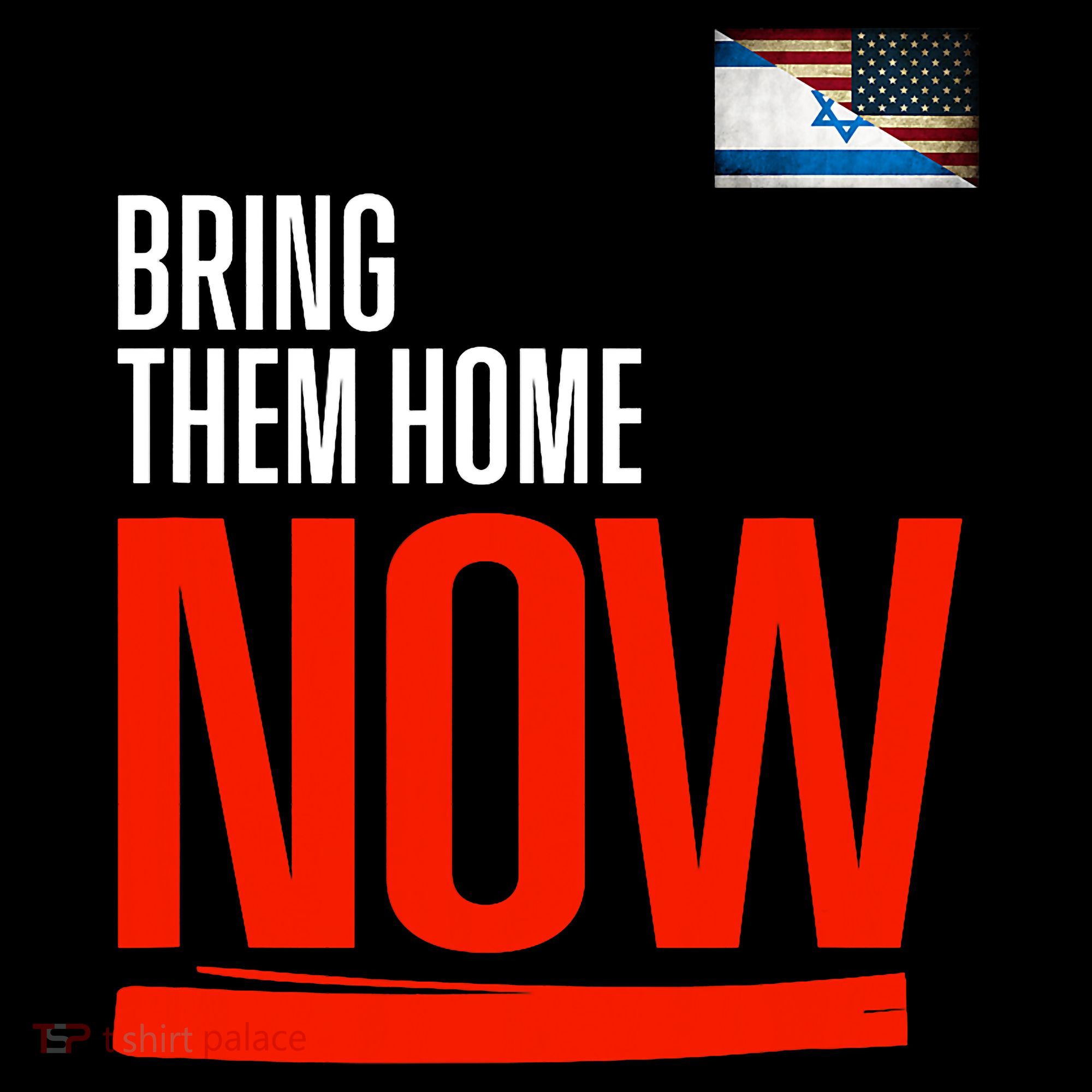 Bring Them Home Now! Stand With Israel Women's T-Shirt