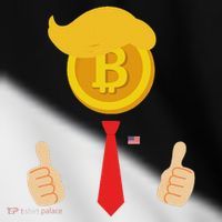 Bitcoin Trump Hair Cryptocurrency President Trump 45 47 Maga Toddler Fine Jersey T-Shirt thumb 2