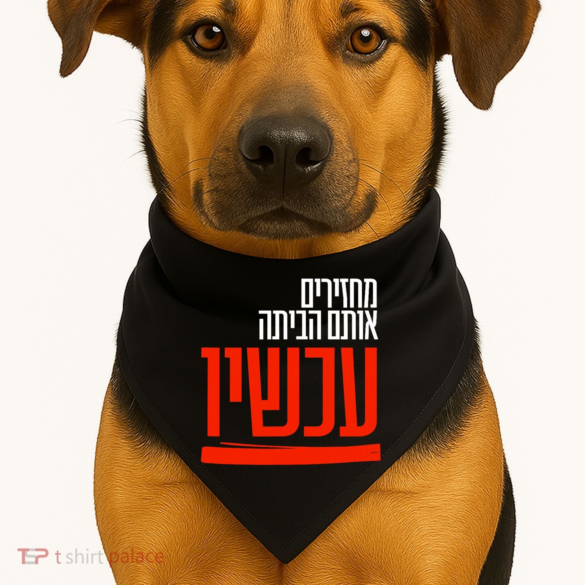 Bring Them Home Now Help Them USA-Made Doggie Bandana