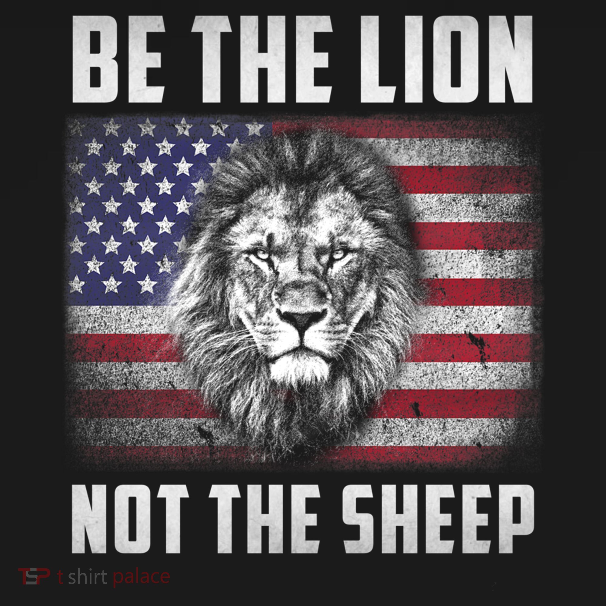 Be The Lion Not The Sheep American Flag Patriot For Boy Funny Gift Women's Hoodie
