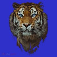 Bengal Tiger Meaningful Gift Endangered Wildlife Lover Big Cat Gift Sweatshirt thumb 3