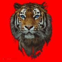 Bengal Tiger Meaningful Gift Endangered Wildlife Lover Big Cat Gift Santa Hat thumb 1