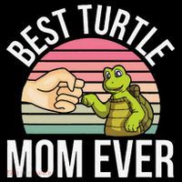 Best Turtle Mom Ever Turtle Tortoise Women's Hoodie thumb 2