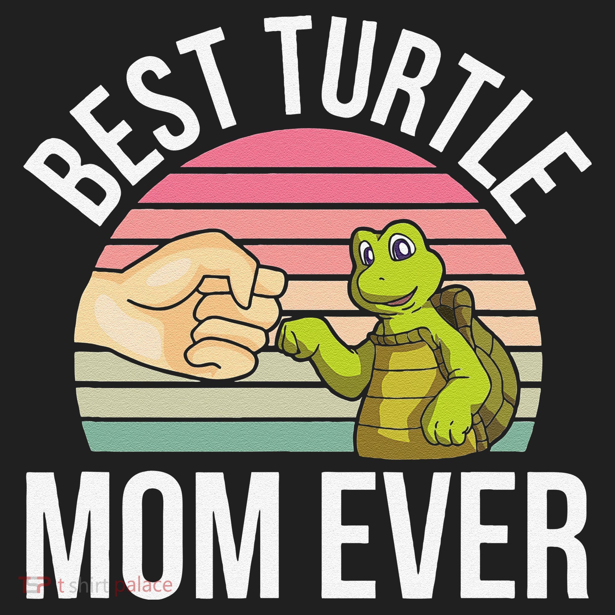 Best Turtle Mom Ever Turtle Tortoise Hat