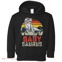 Babysaurus T Rex Dinosaur Baby Saurus Family Matching Toddler Hoodie thumb 0