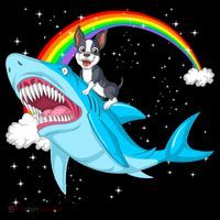 Boston Terrier Riding Shark Doggie Tank thumb 4