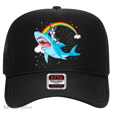 Boston Terrier Riding Shark Hat