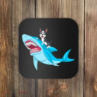Coaster