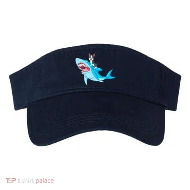 Visor