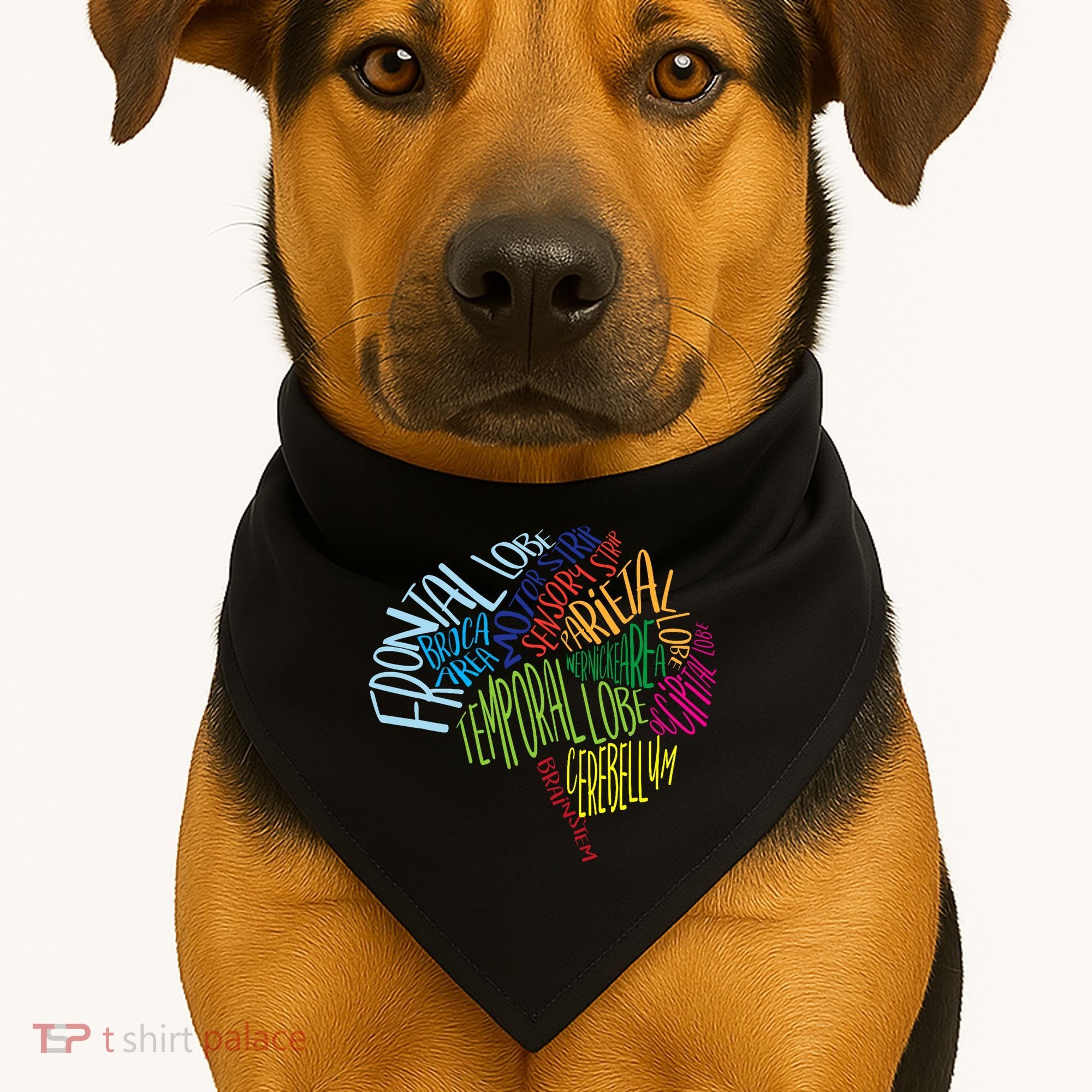 Brain Typography Rn Nurse Neurologist Doctor Word Bubble USA-Made Doggie Bandana