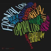Brain Typography Rn Nurse Neurologist Doctor Word Bubble Women's T-Shirt thumb 6