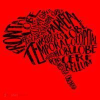 Brain Typography Rn Neuroscience Nurse Neurologist Santa Hat thumb 1