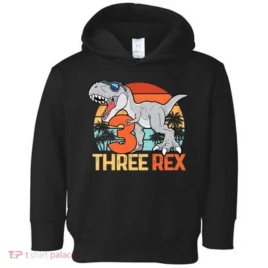 Boy Three Rex 3rd Birthday Third Dinosaur 3 Year Old Toddler Hoodie