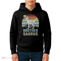 Brothersaurus T Rex Brother Saurus Family Matching Dinosaur Kids Hoodie thumb 4