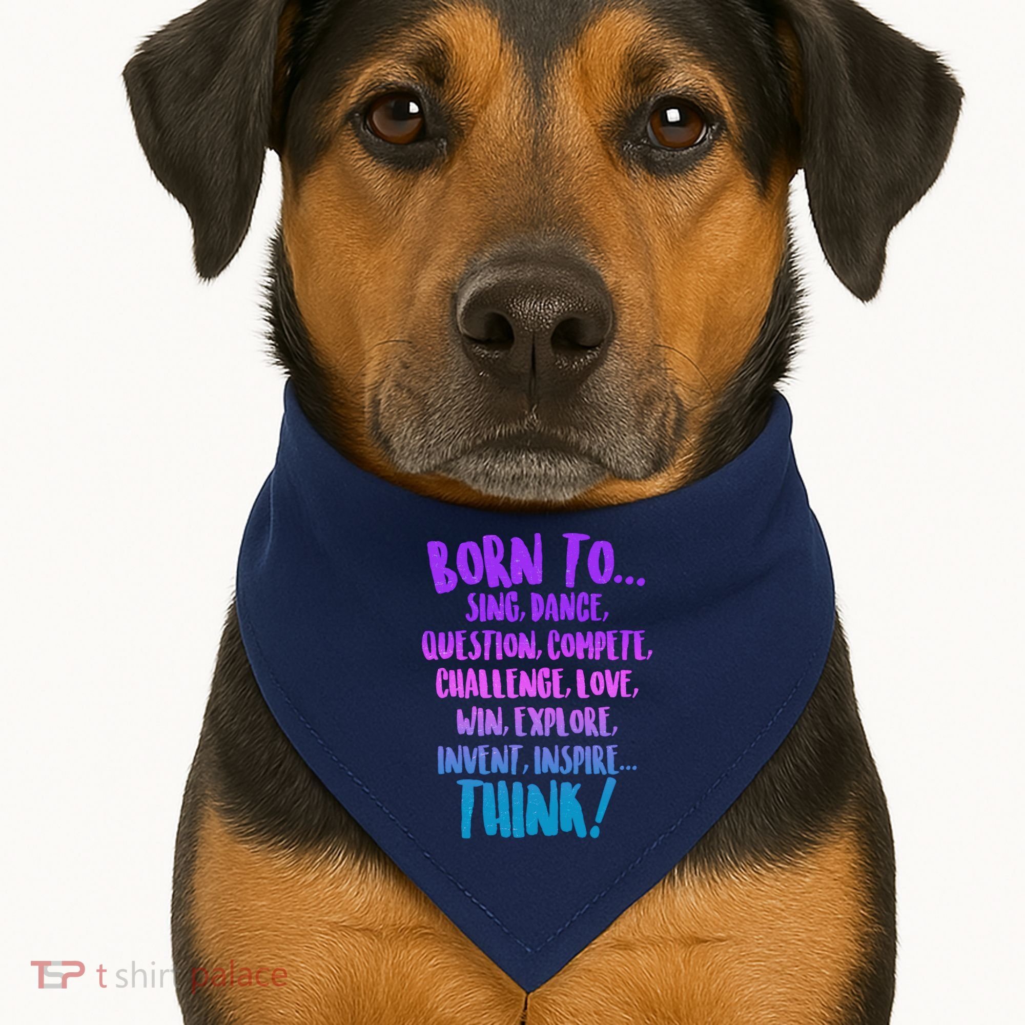 Born To Sing Dance Think USA-Made Doggie Bandana