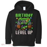 Birthday Time To Level Up Video Game Birthday Gamer Gift Toddler Hoodie thumb 0