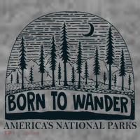 Born To Wander AmericaS National Parks Nature Toddler Hoodie thumb 2