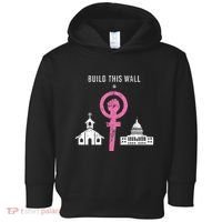 Build This Wall Separate Church And State Toddler Hoodie thumb 0