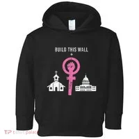 Build This Wall Separate Church And State Toddler Hoodie thumb 0